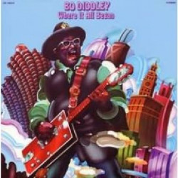 BO DIDDLEY - WHERE IT ALL BEGAN