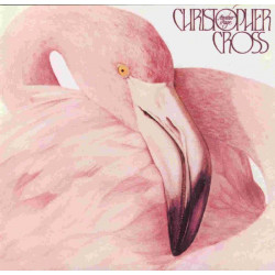 CHRISTOPHER CROSS - ANOTHER PAGE