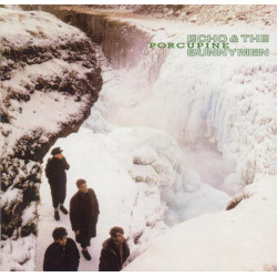 ECHO AND THE BUNNYMEN - PORCUPINE