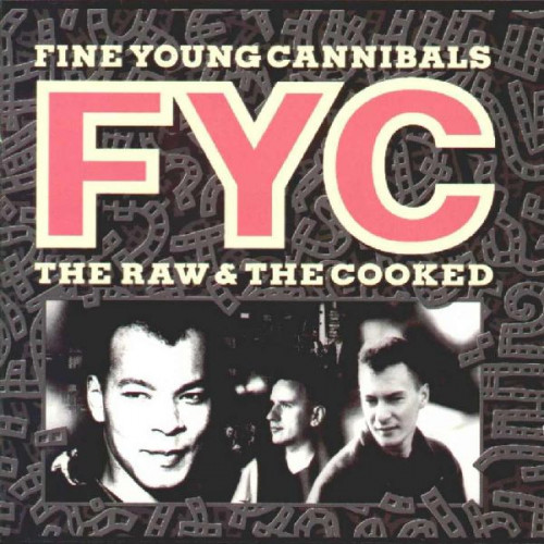 FINE YOUNG CANNIBALS - THE RAW & THE COOKED