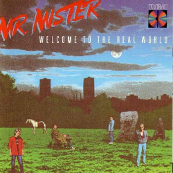 MR. MISTER - WELCOME TO THE REAL WORLD