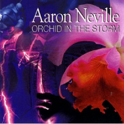 NEVILLE, AARON - ORCHID IN THE WINDSTORM