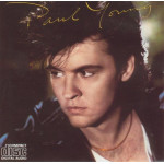 PAUL YOUNG - THE SECRET OF ASSOCIATION