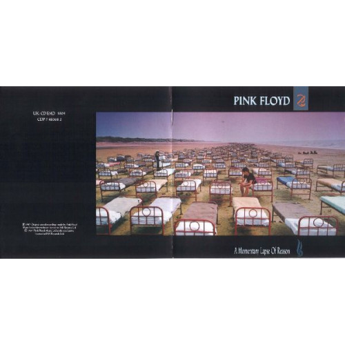 PINK FLOYD - A MOMENTARY LAPSE OF REASON