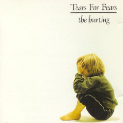 TEARS FOR FEARS - THE HURTING