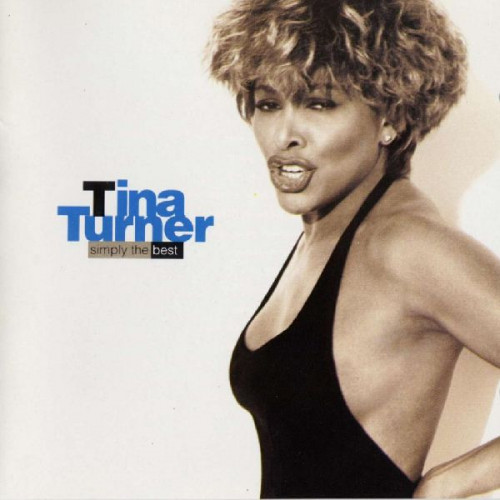 TINA TURNER - SIMPLY THE BEST ( 2 LP )