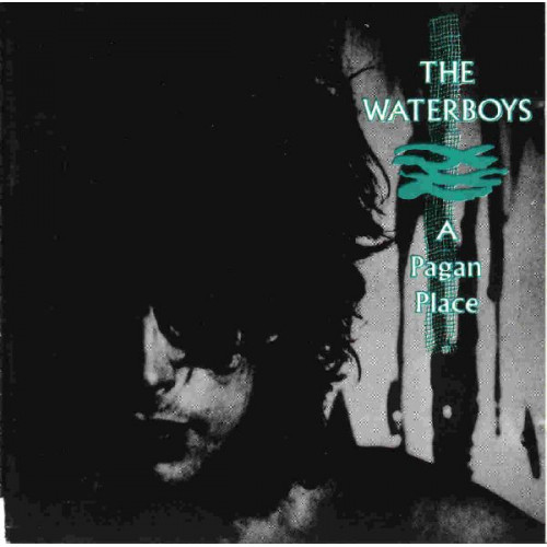WATERBOYS,THE - A PAGAN PLACE