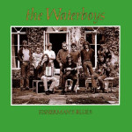 WATERBOYS,THE - FISHERMAN S BLUES