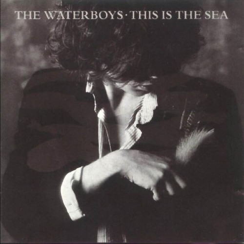 WATERBOYS,THE - THIS IS THE SEA