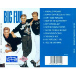 BIG FUN - A POCKETFUL OF DREAMS