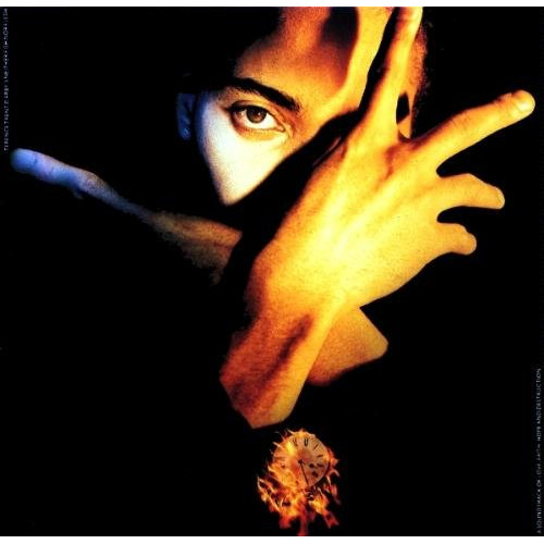 TERENCE TRENT D ARBY - TERENCE TRENT D ARBY S NEITHER FISH NOR FLESH