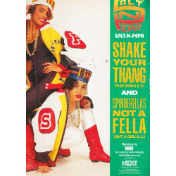 SALT-N-PEPA - SHAKE YOUR THANG - MAXI SINGLES