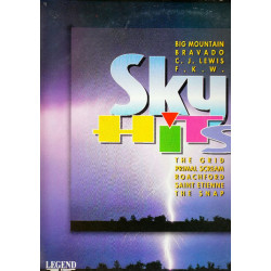 SKY HITS ( 2 LP ) - 1994