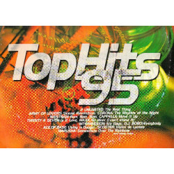 TOP HITS 95 - 1995 ( 3 LP )